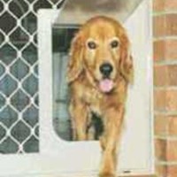 Pet Door Large