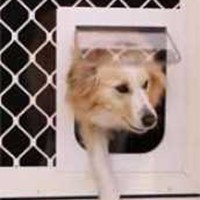 Pet Door Medium
