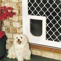Pet Door Small