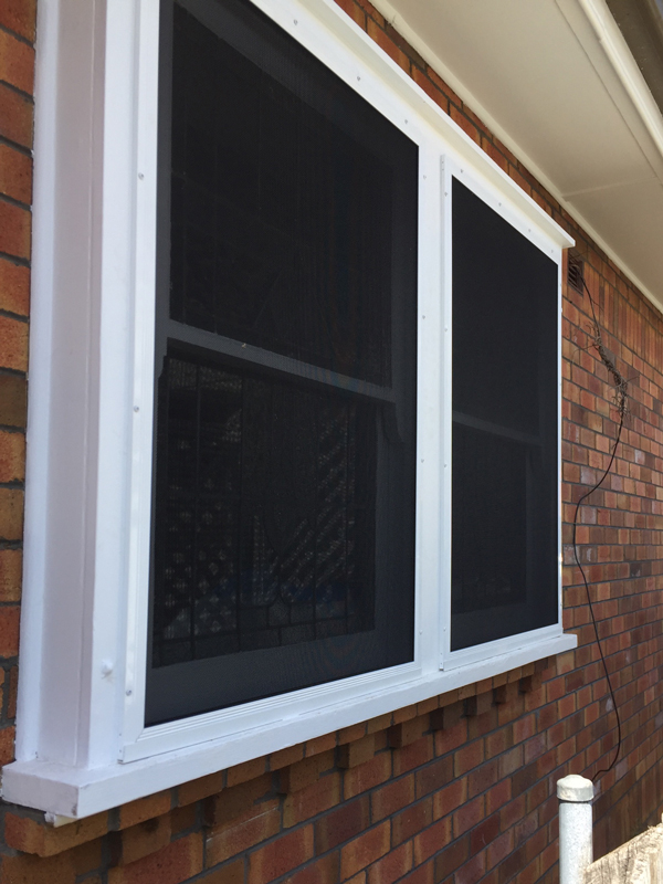 Window Screen